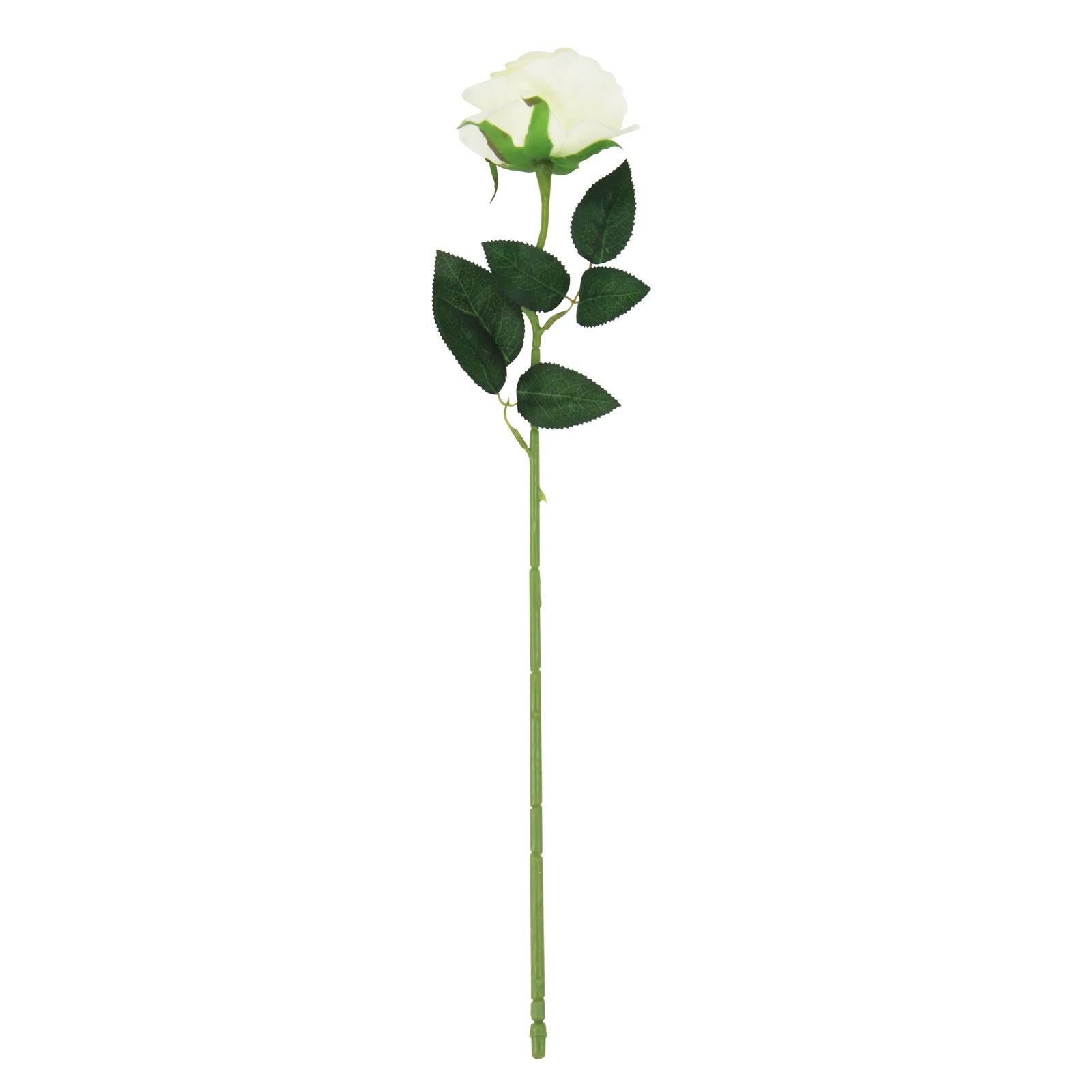 Soft Touch Premium Roses