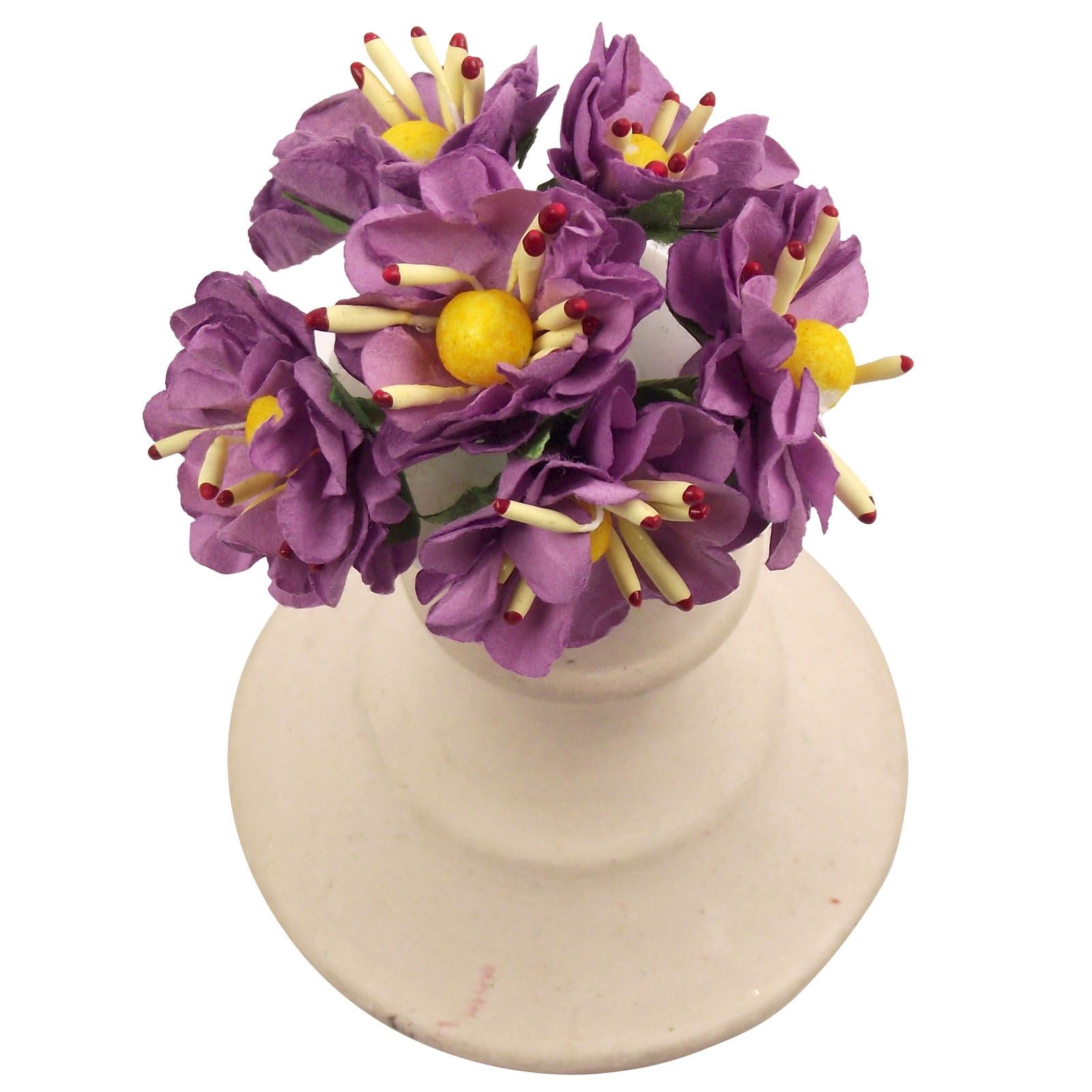 2x Bunches of 6 Paper Anemone