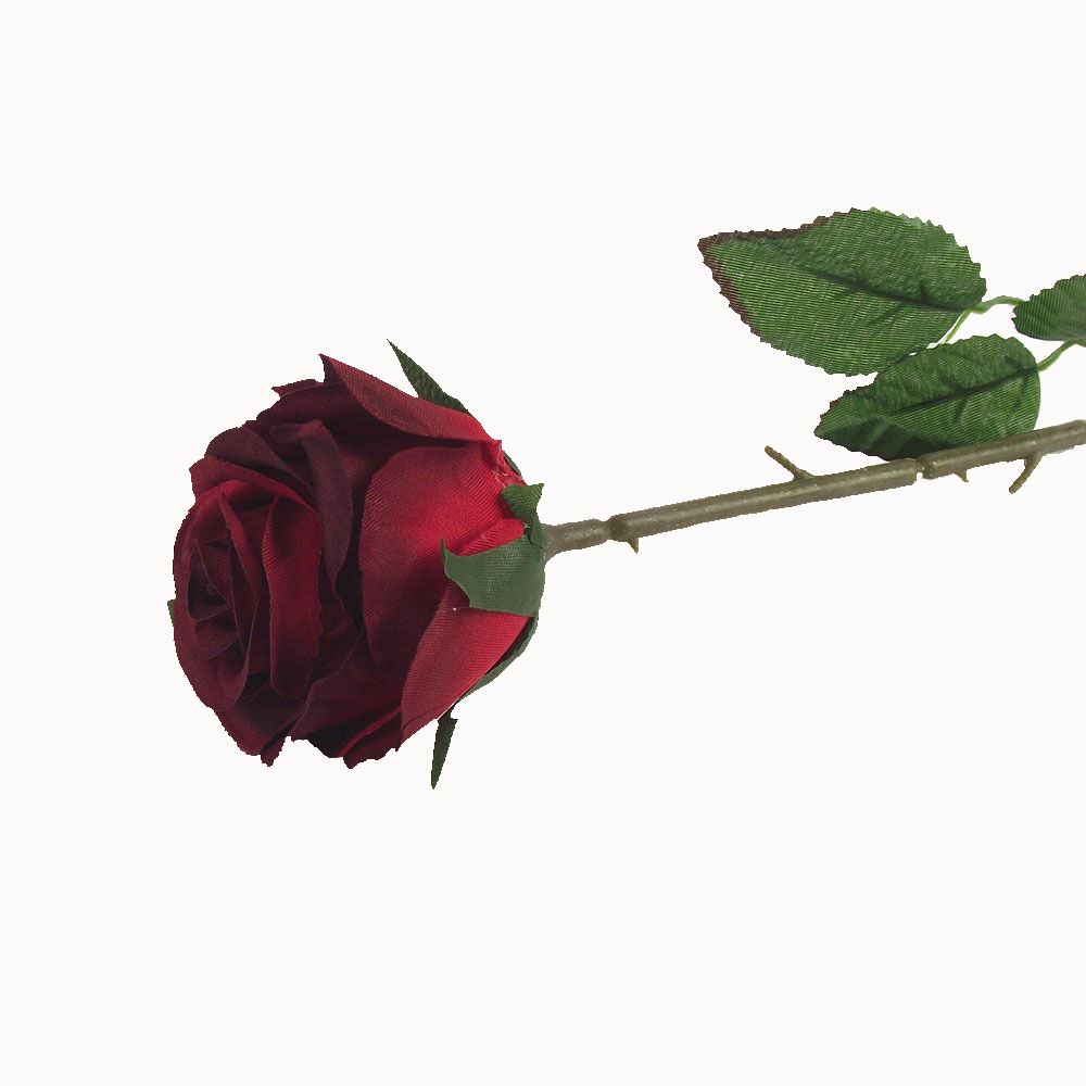 Single Premium Rose Bud