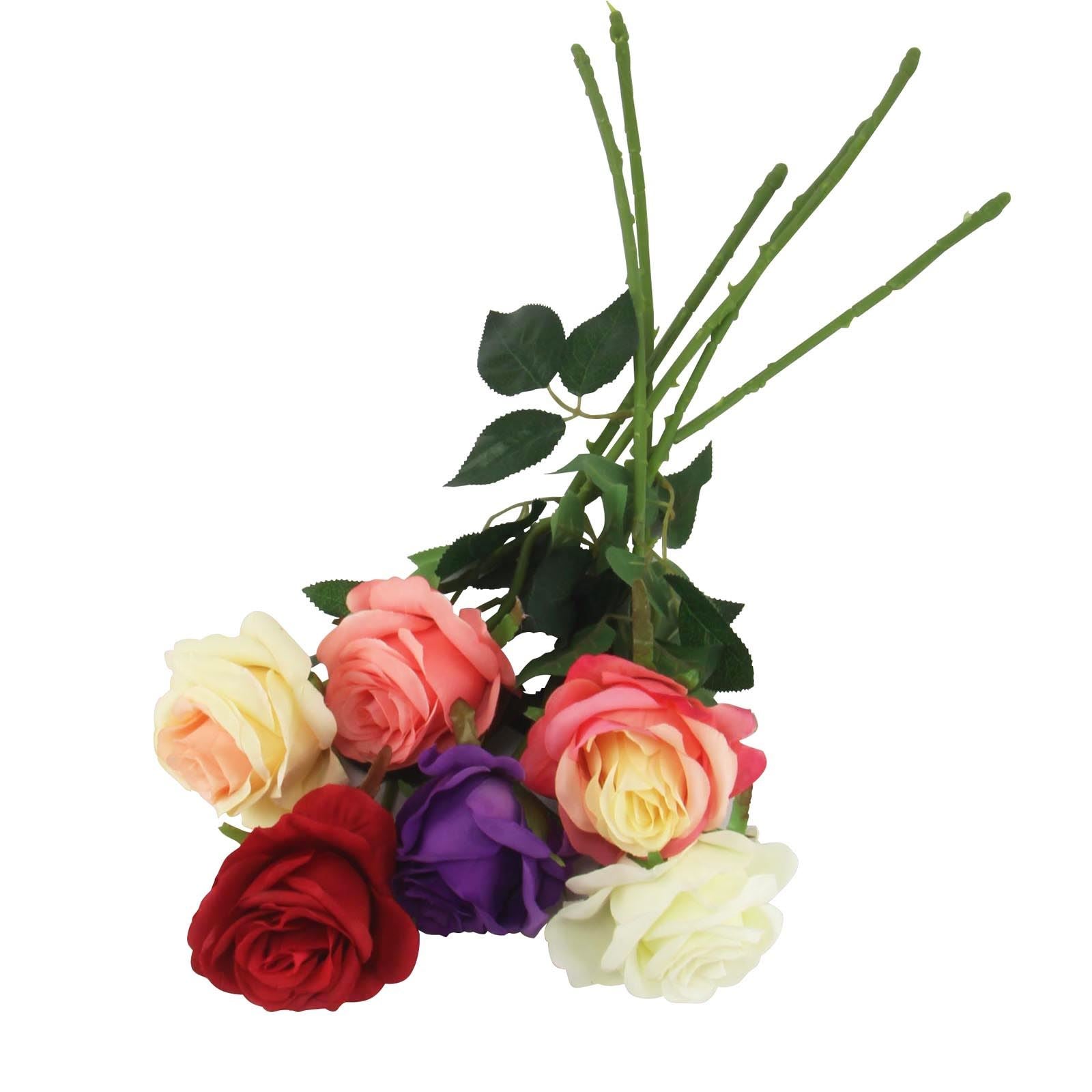 Soft Touch Premium Roses