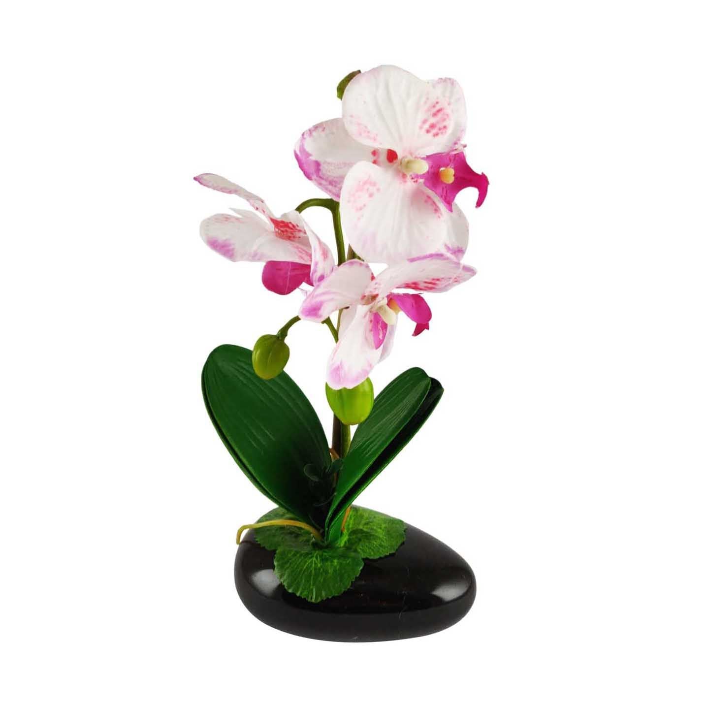 Pre-Potted Real Touch Orchid Plants