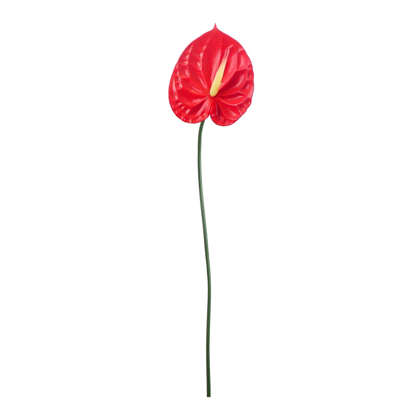 Single Red Anthurium Stem
