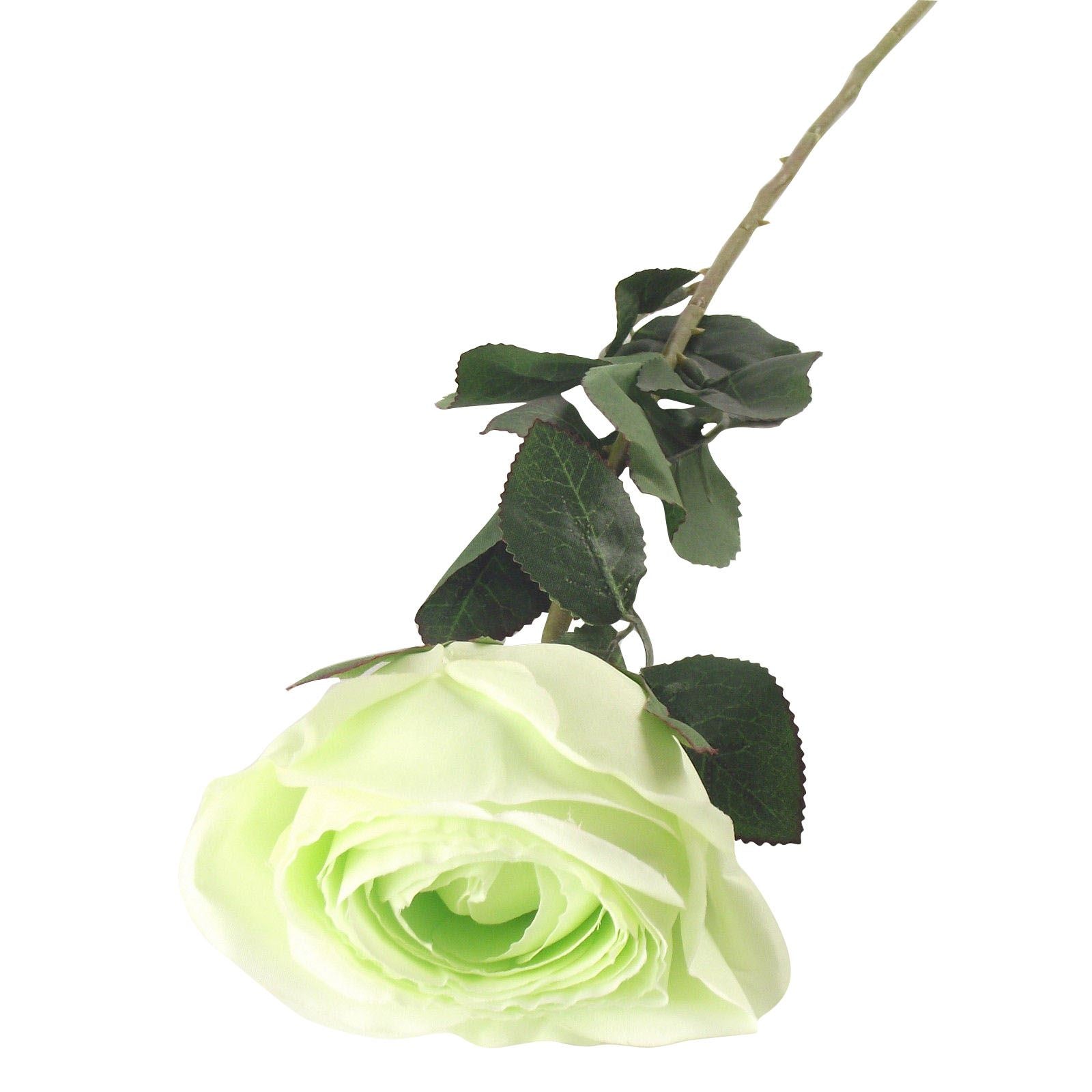 Single XL Closed Rose Bud