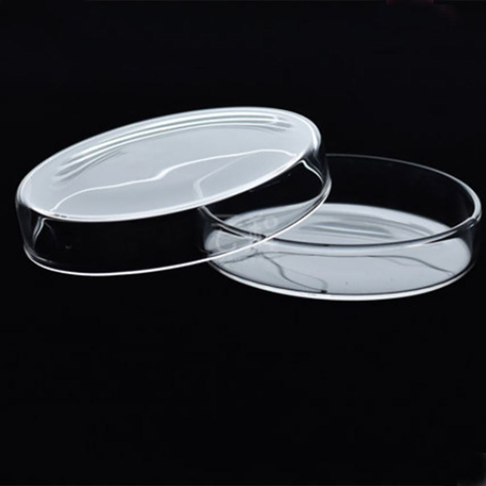 Glass Petri Dish