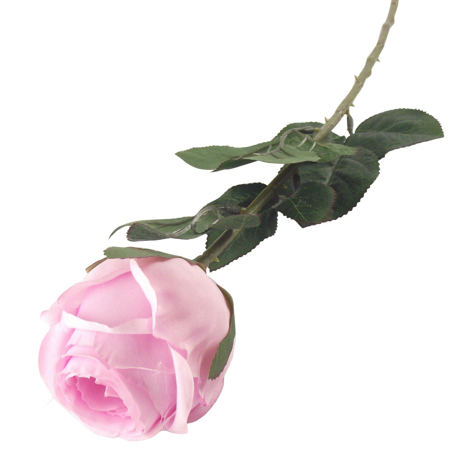 Single XL Closed Rose Bud