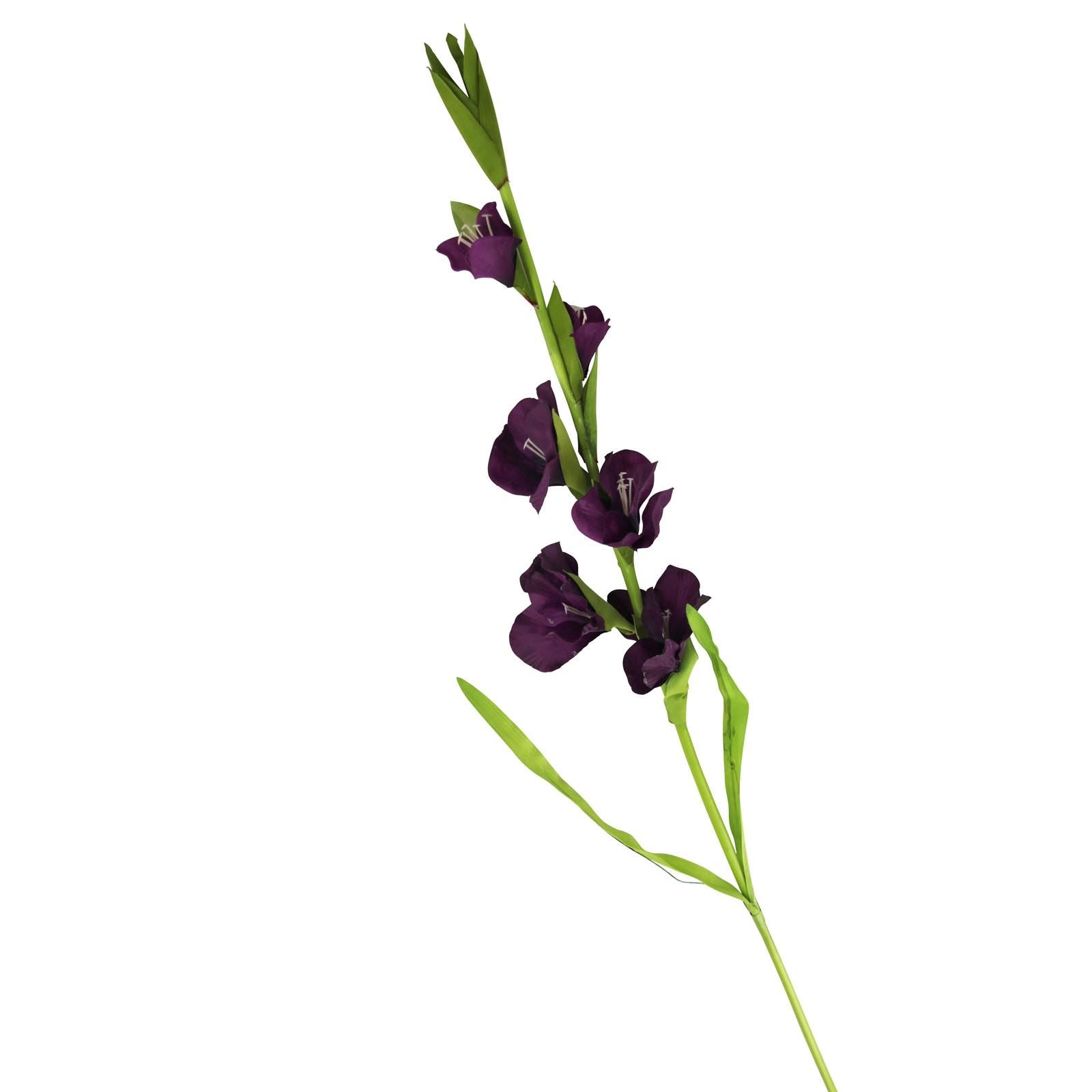 Box of 12 Gladiolus Stem - Purple