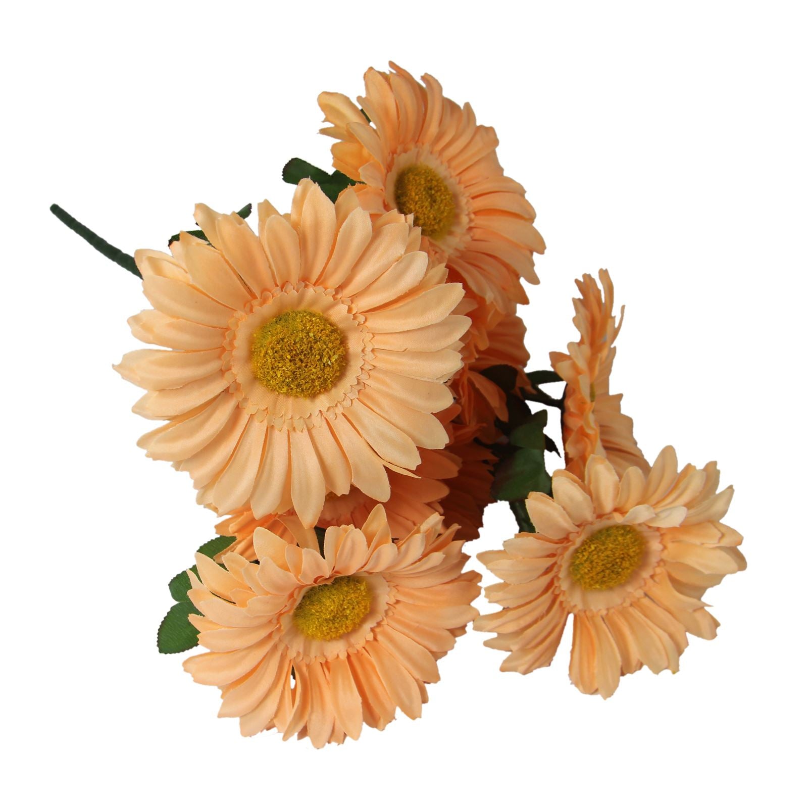 Bunch of 9 XL Gerbera