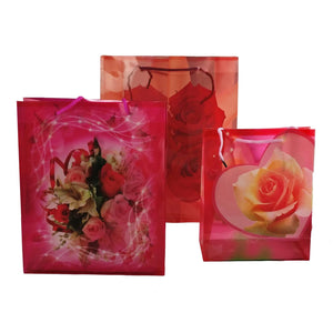 Translucent Jewel Gift Bags