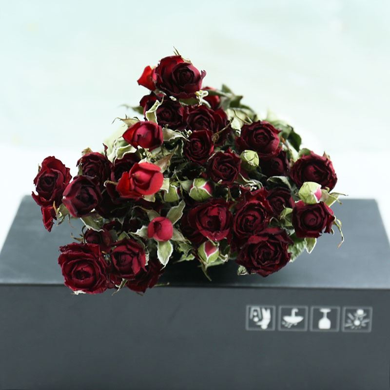 Bouquet of 10 Dried Rose Stems - Preserved Natural Eternal Forever