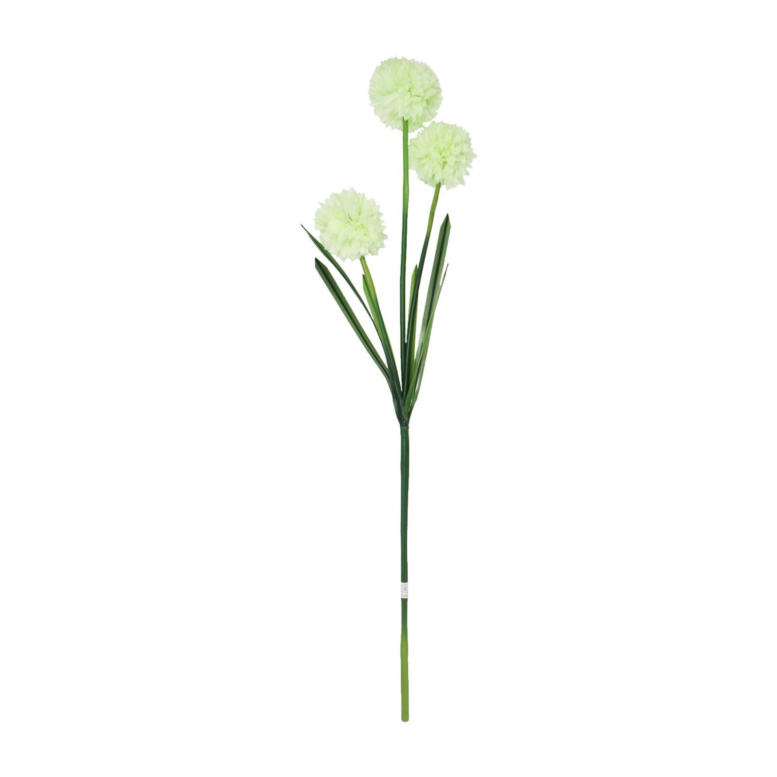 3 Headed Large Pompom Allium Spray