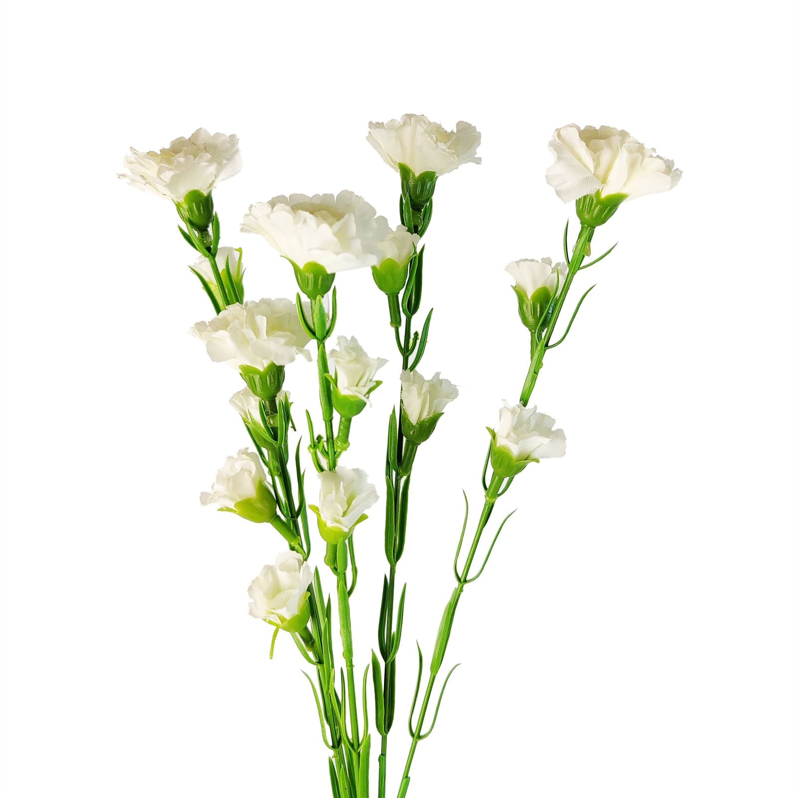 Carnation Spray