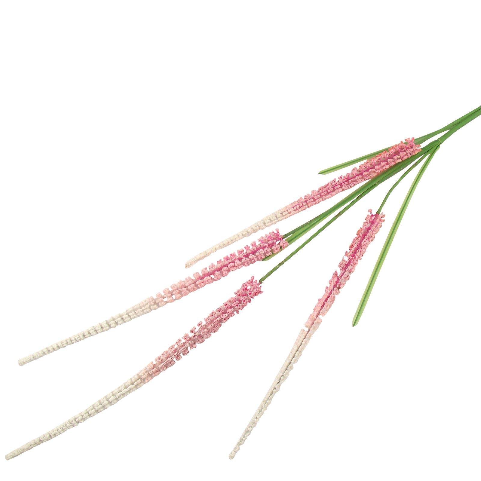 Long Marsh Shoots Flowers