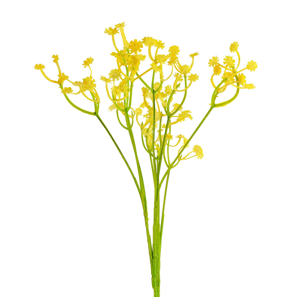 Coloured Gypsophila Sprays
