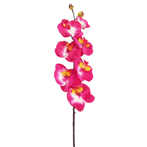 Long Stemmed Eco Orchid Stem