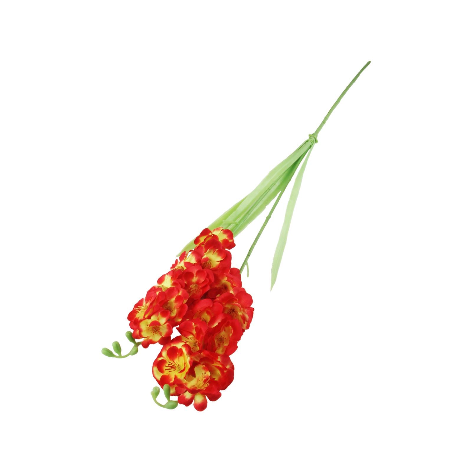 Two Headed Long Orchid Spray
