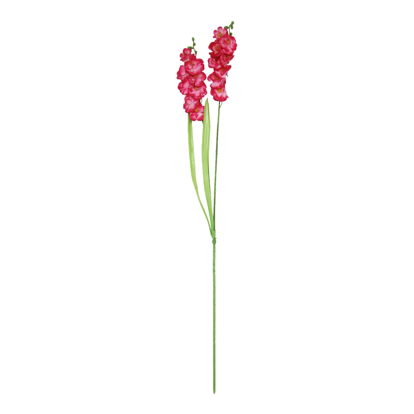 Two Headed Long Orchid Spray