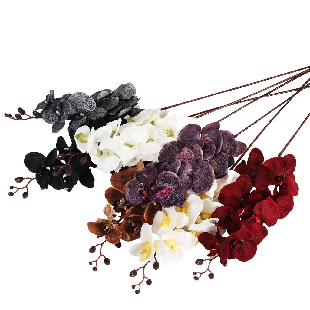 Premium Modern Large Orchid