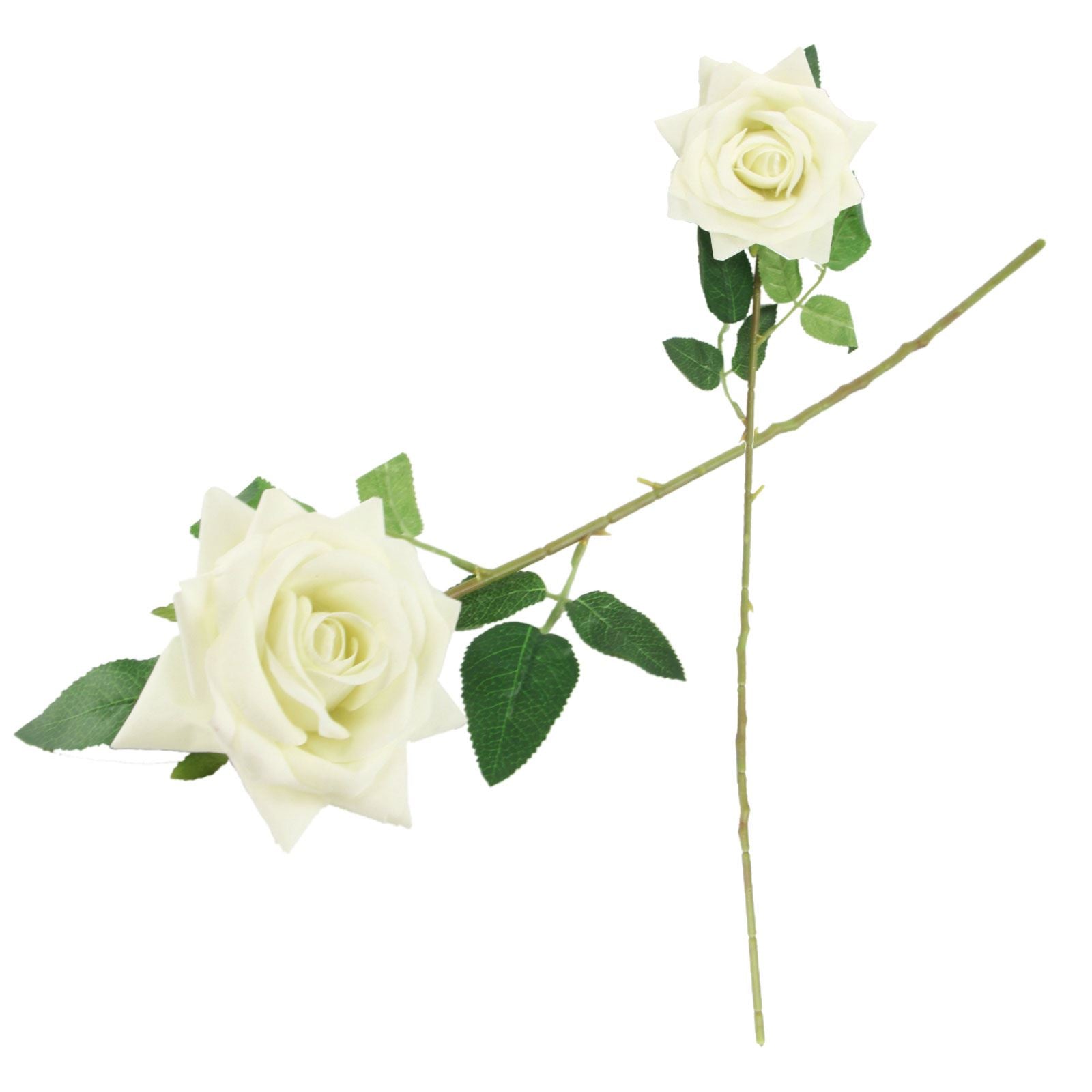 Premium Open Velvet Rose