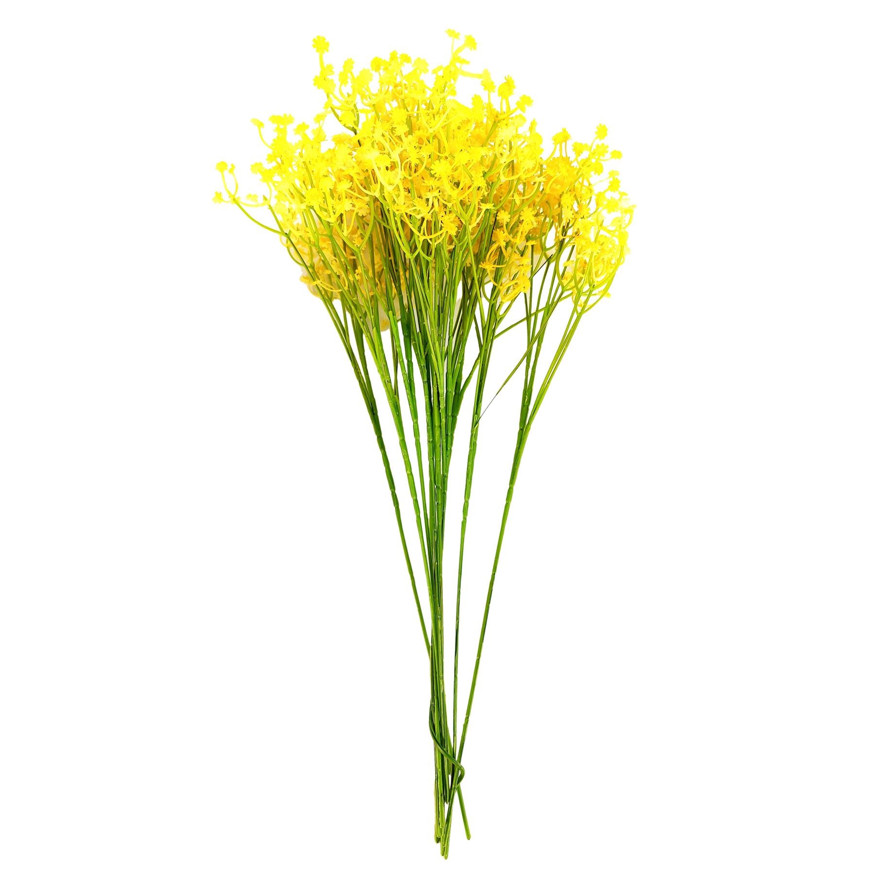 Coloured Gypsophila Sprays