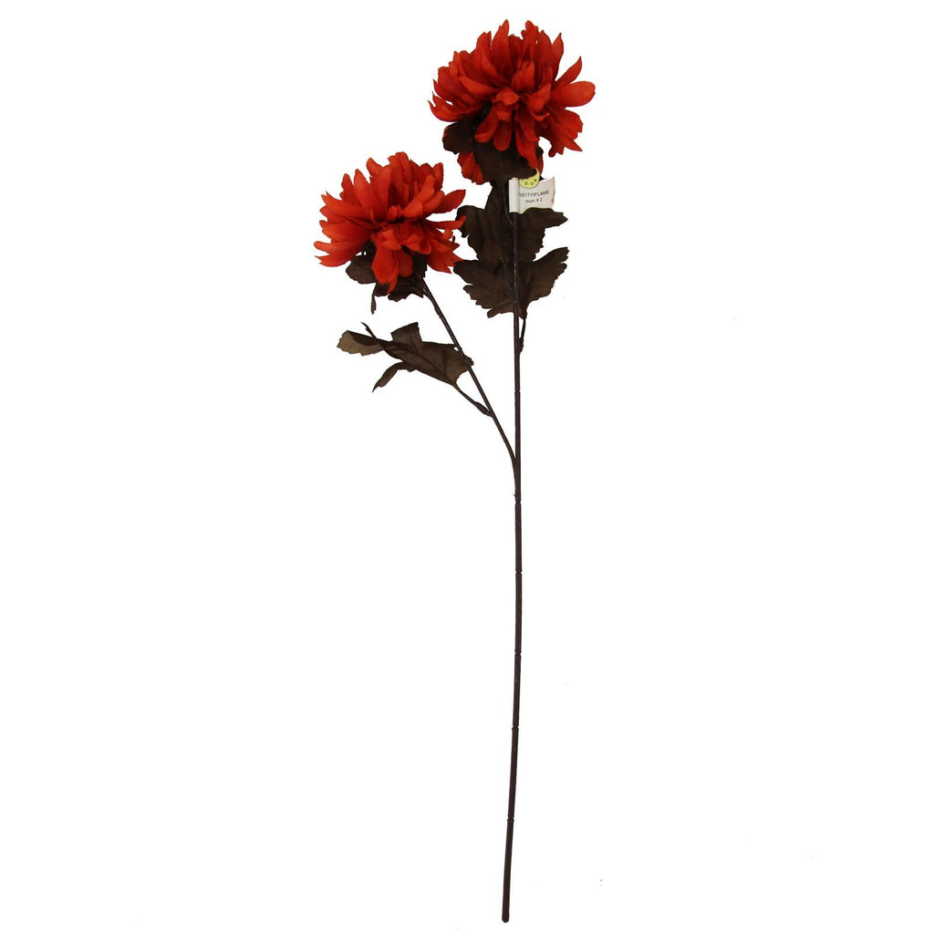 2 Head Chrysanthemum