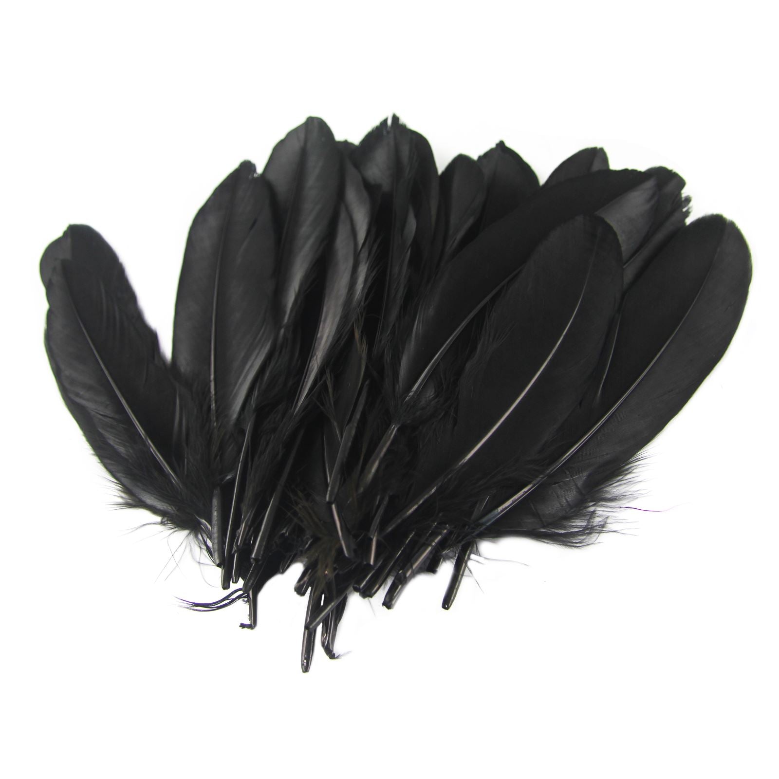 Large 5 Inch Goose Feathers