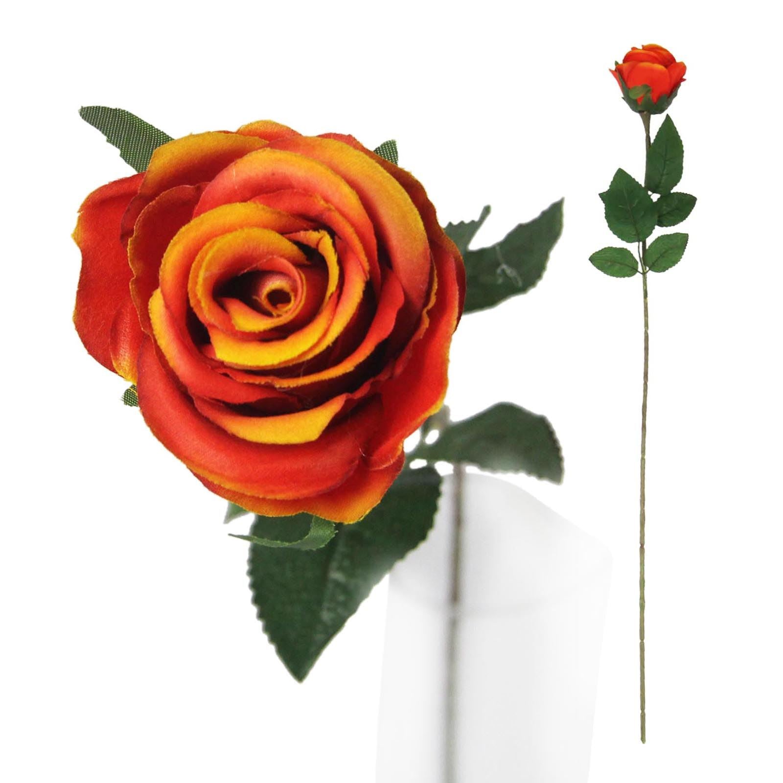 Single Premium Rose Bud