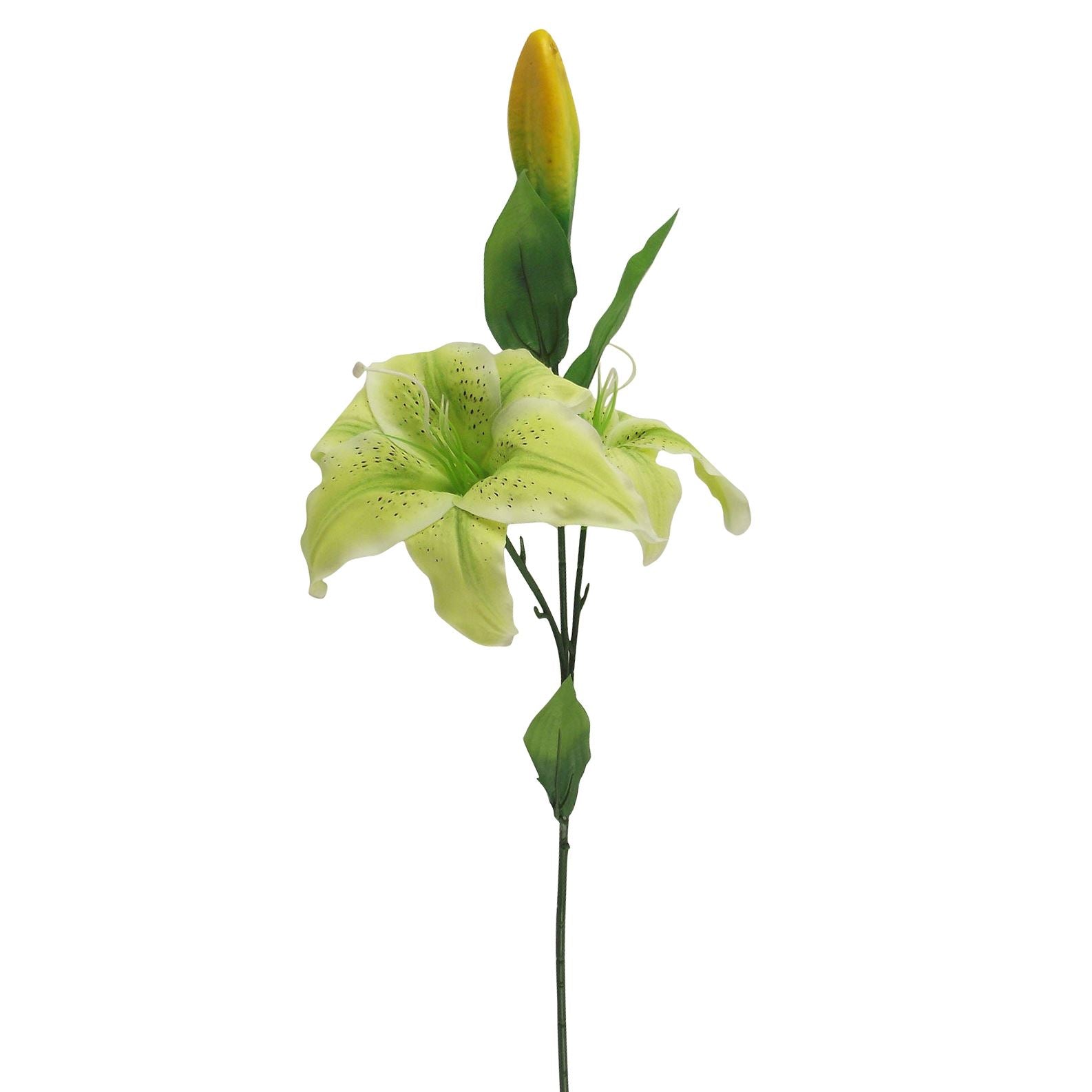 Stargazer Lily Spray