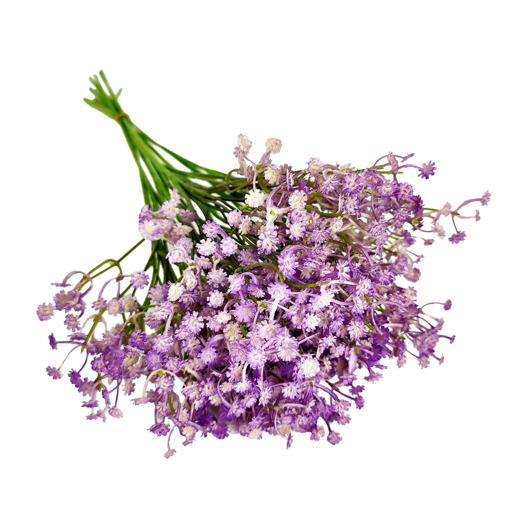 Coloured Gypsophila Sprays