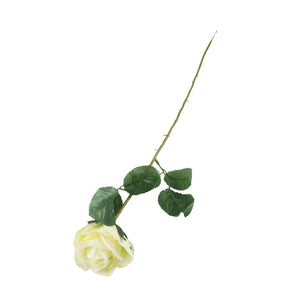 Single Eco Rose Stem