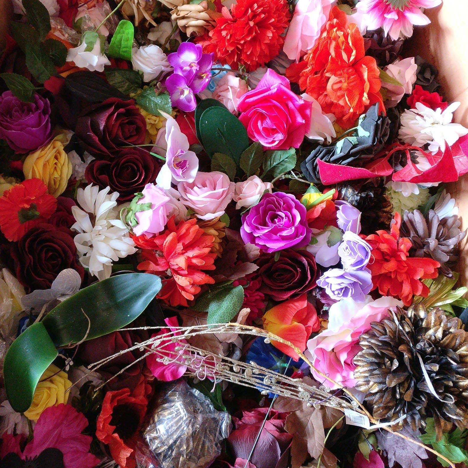 Assorted Flower Heads