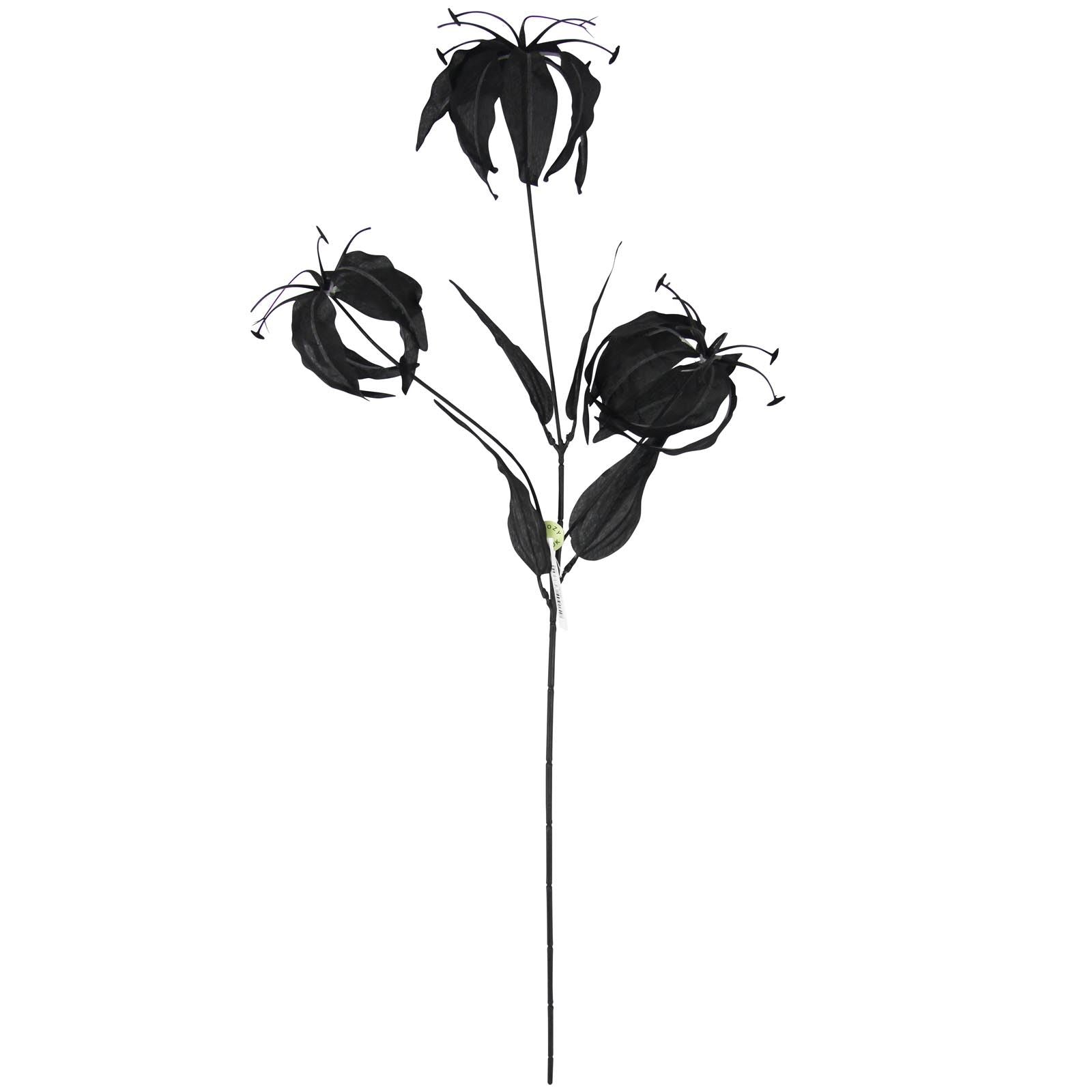 Gloriosa Spray with Black Foliage
