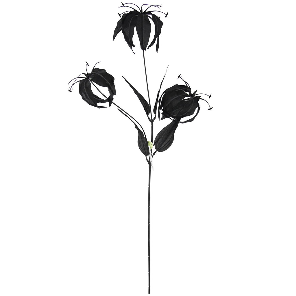 Gloriosa Spray with Black Foliage