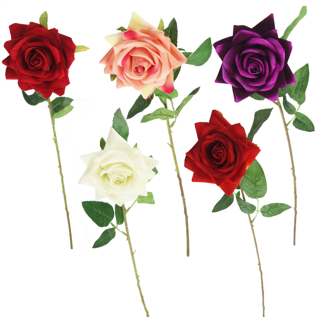 Premium Open Velvet Rose