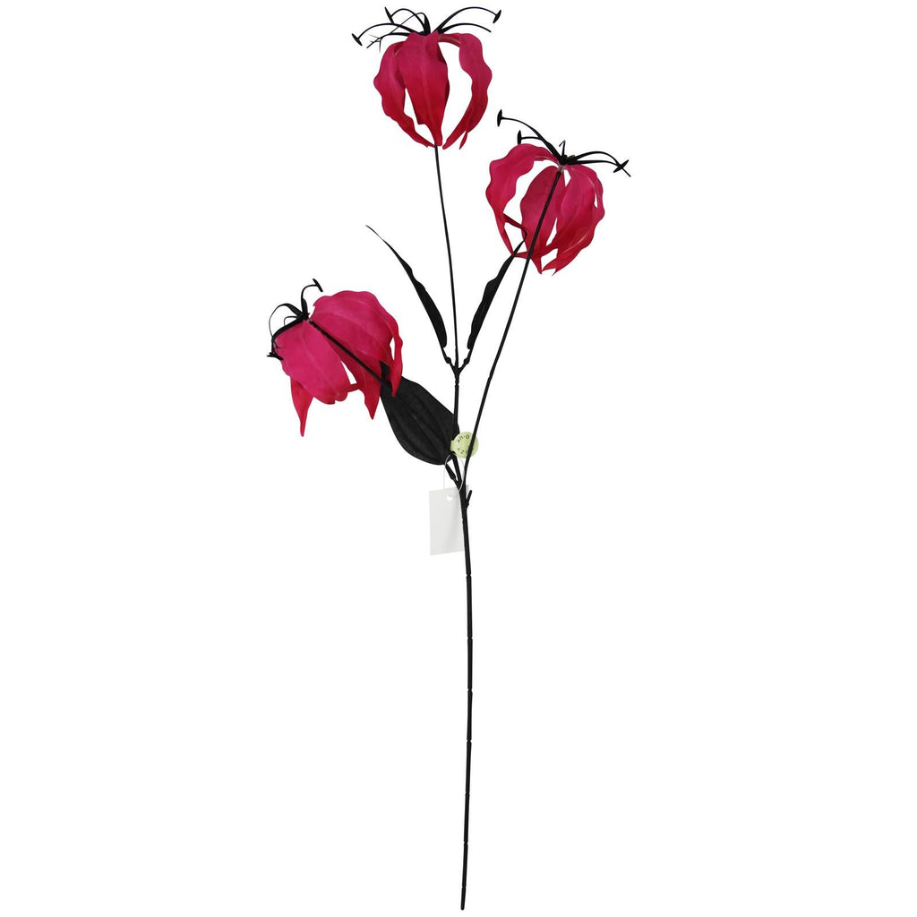 Gloriosa Spray with Black Foliage
