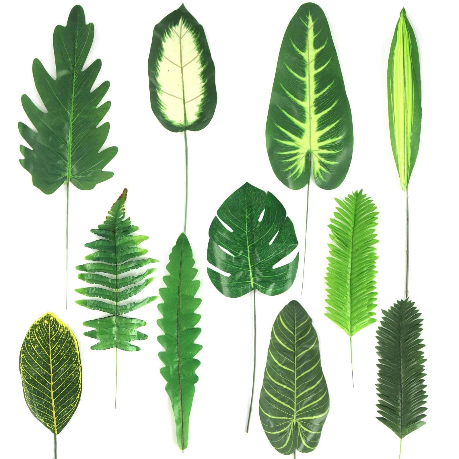 Tropical Single Regular Artificial Leaves