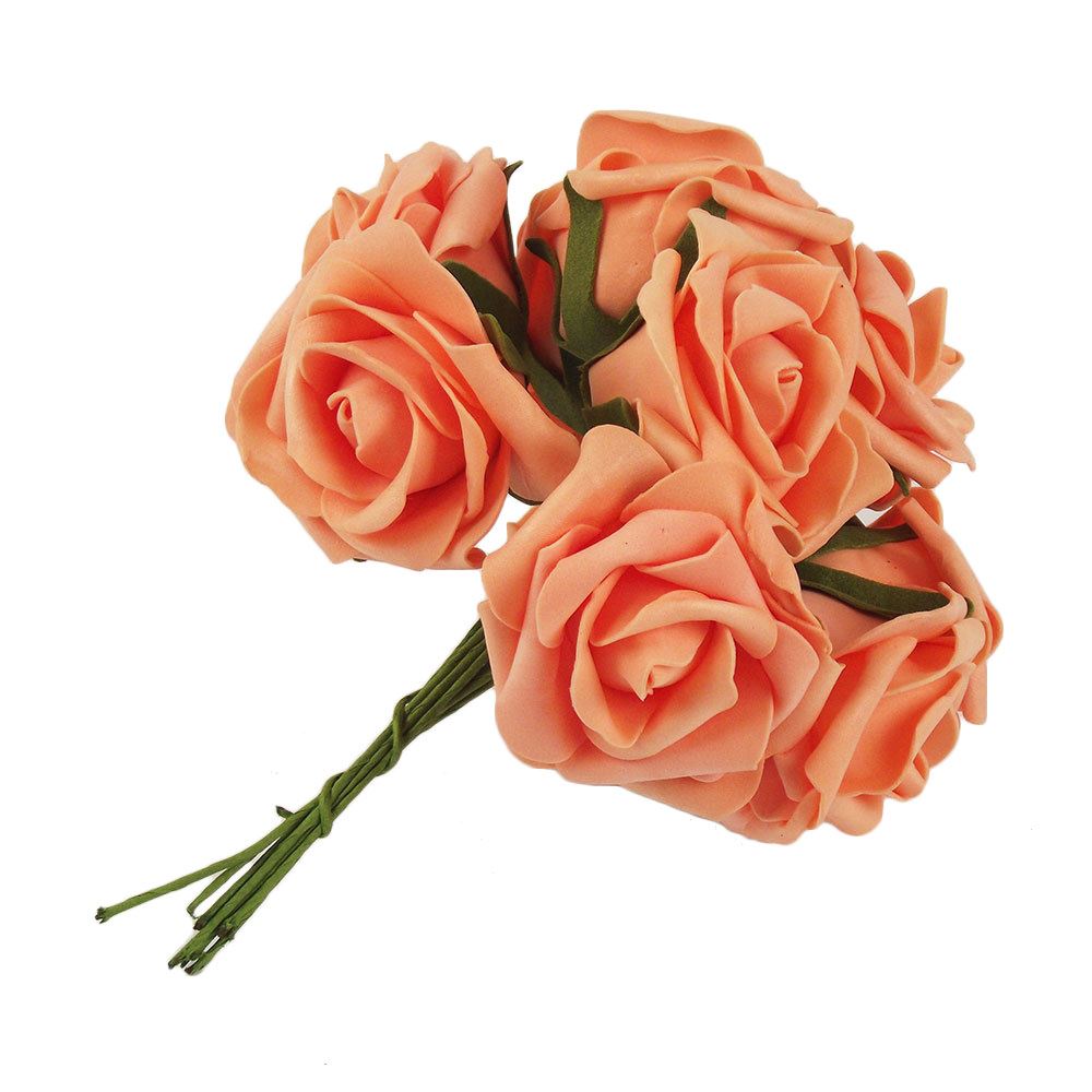 70 Colourfast Roses Variety Pack