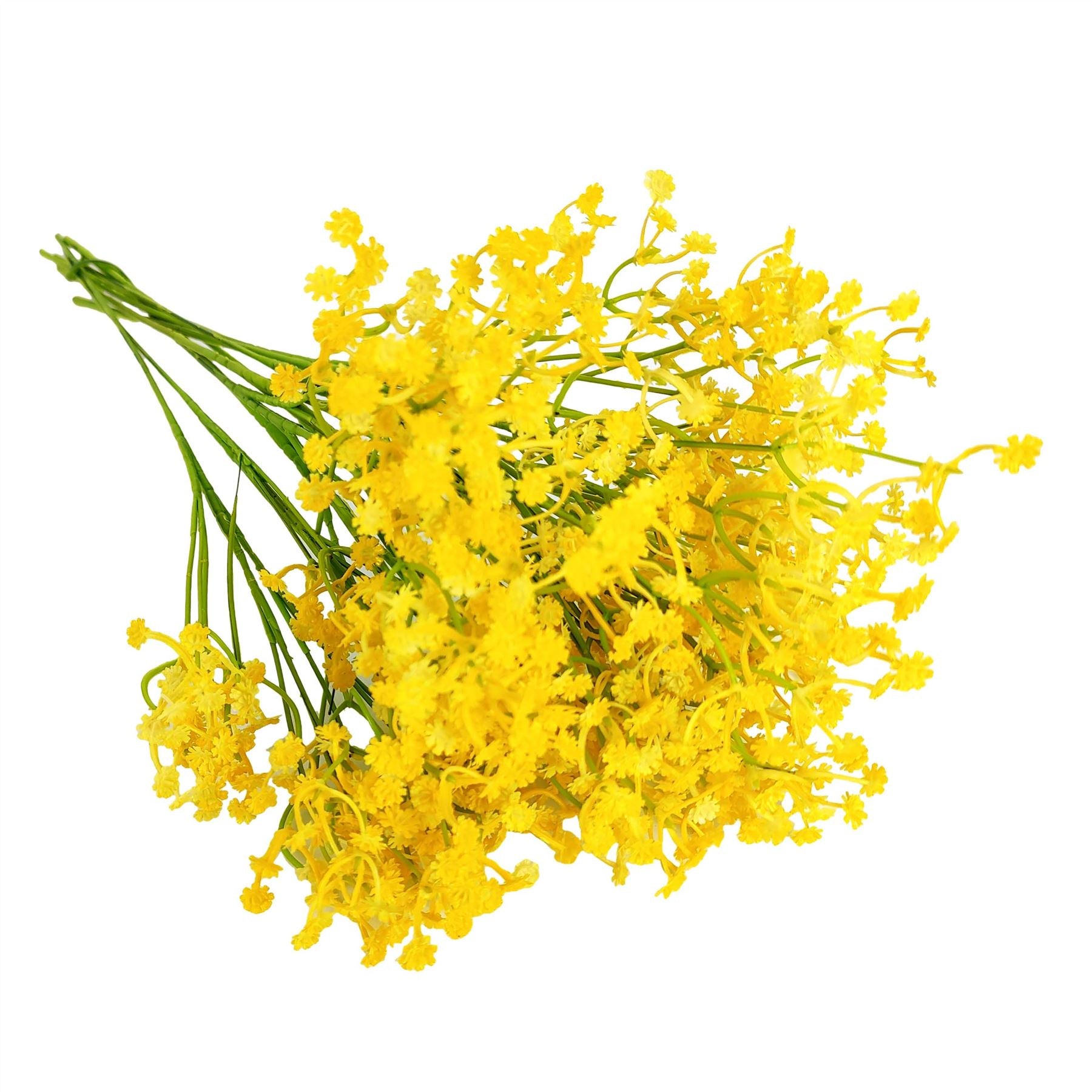 Coloured Gypsophila Sprays