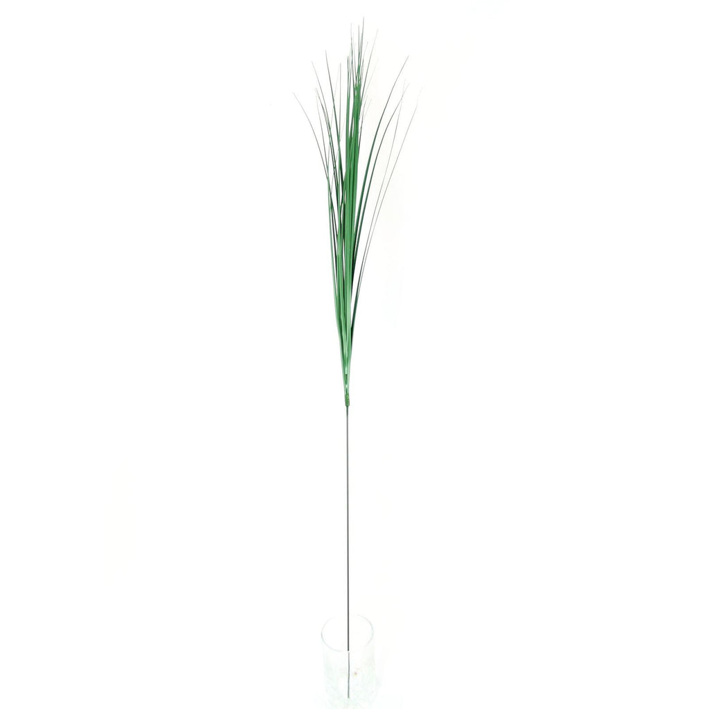 Bear Grass Spray