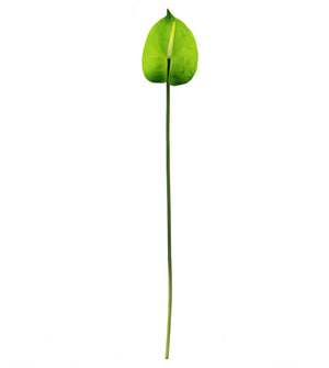 Real Touch Single Anthurium