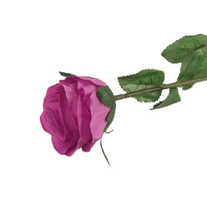 Single Premium Rose Bud