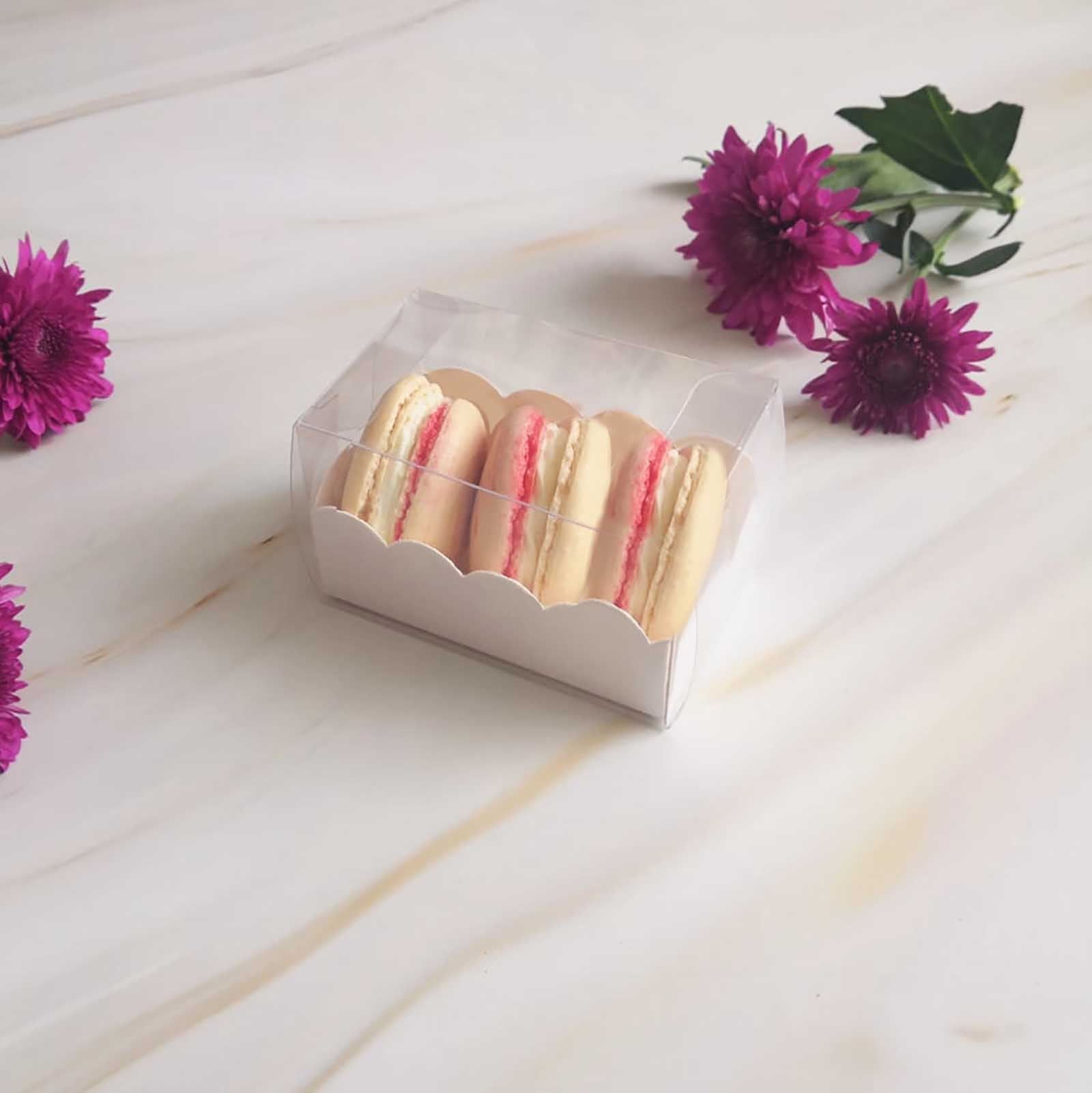 Long Clear PVC Macaron Boxes with Inserts