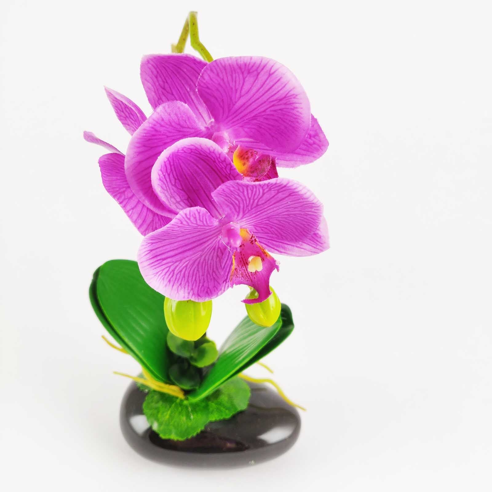 Pre-Potted Real Touch Orchid Plants