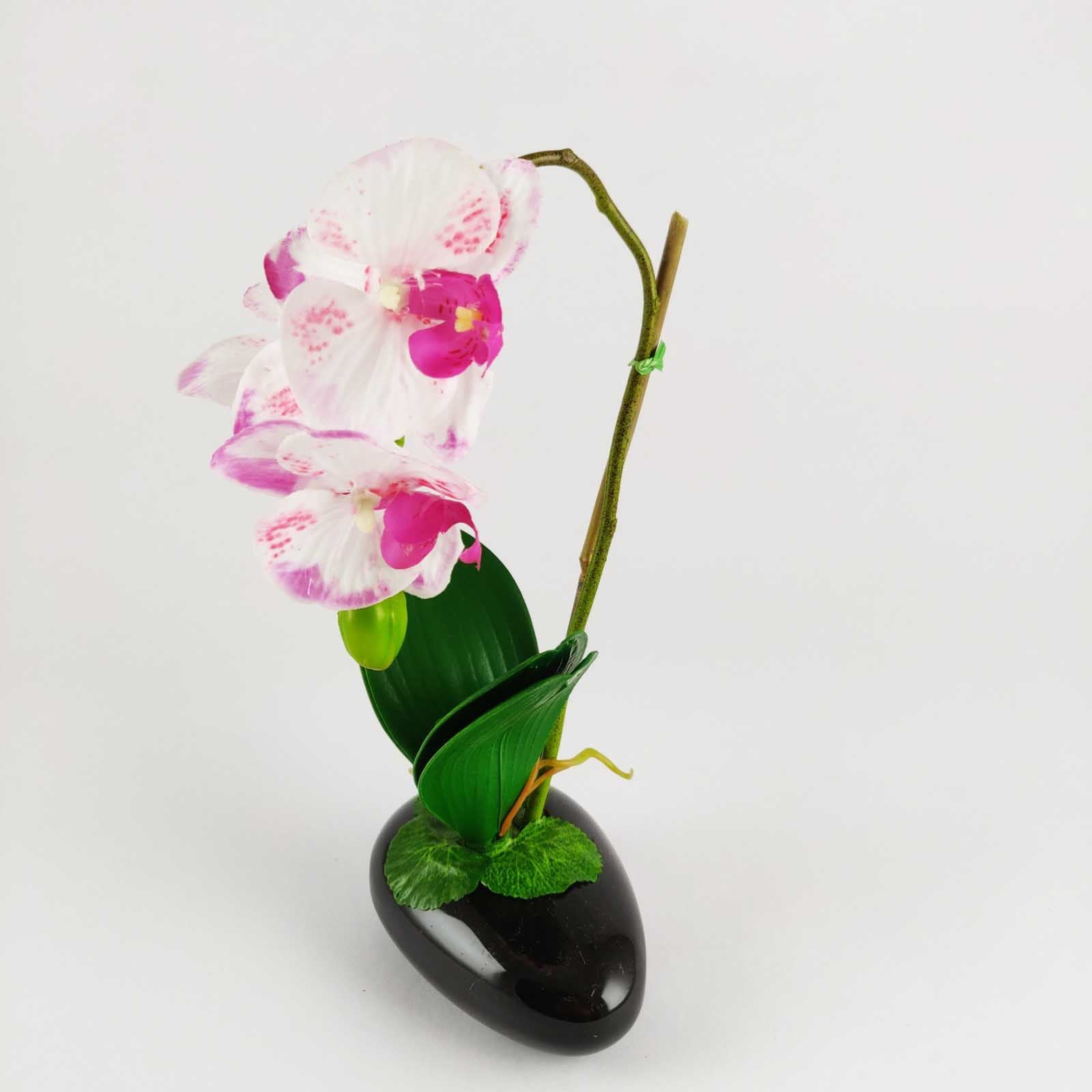 Pre-Potted Real Touch Orchid Plants