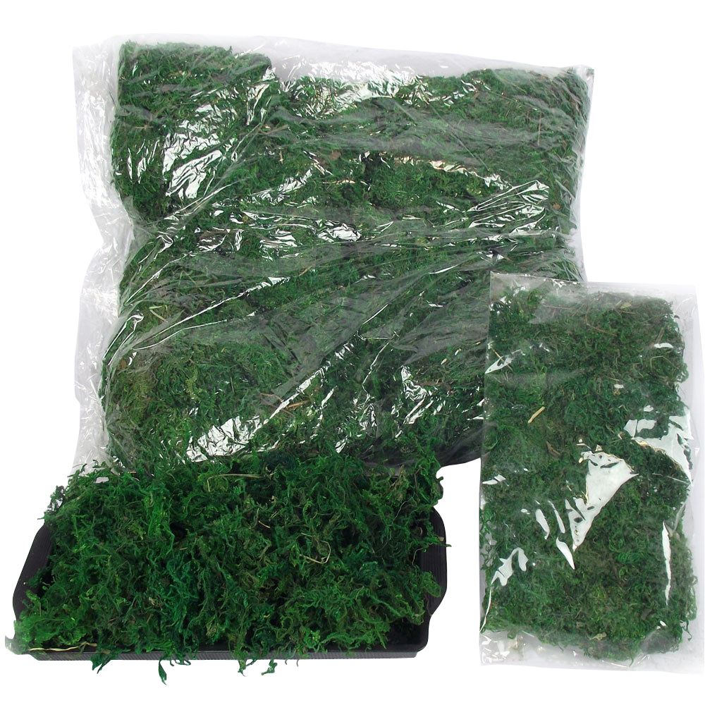 Bulk Bag of Dried Moss