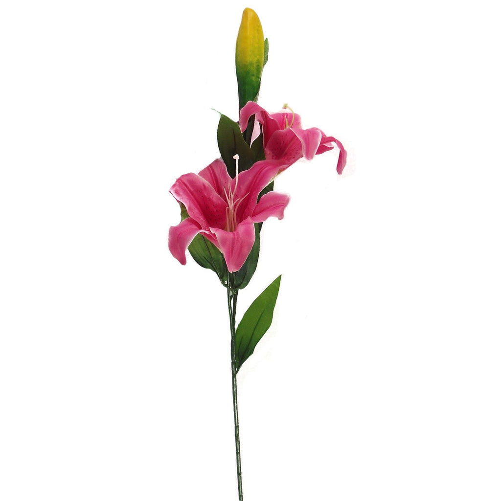 Stargazer Lily Spray