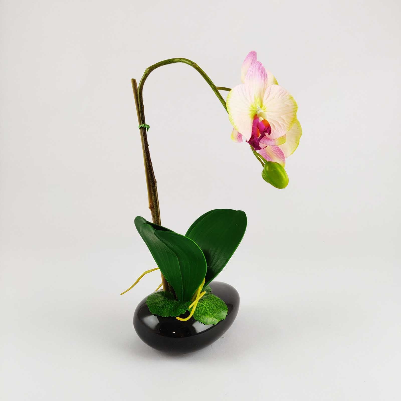 Pre-Potted Real Touch Orchid Plants