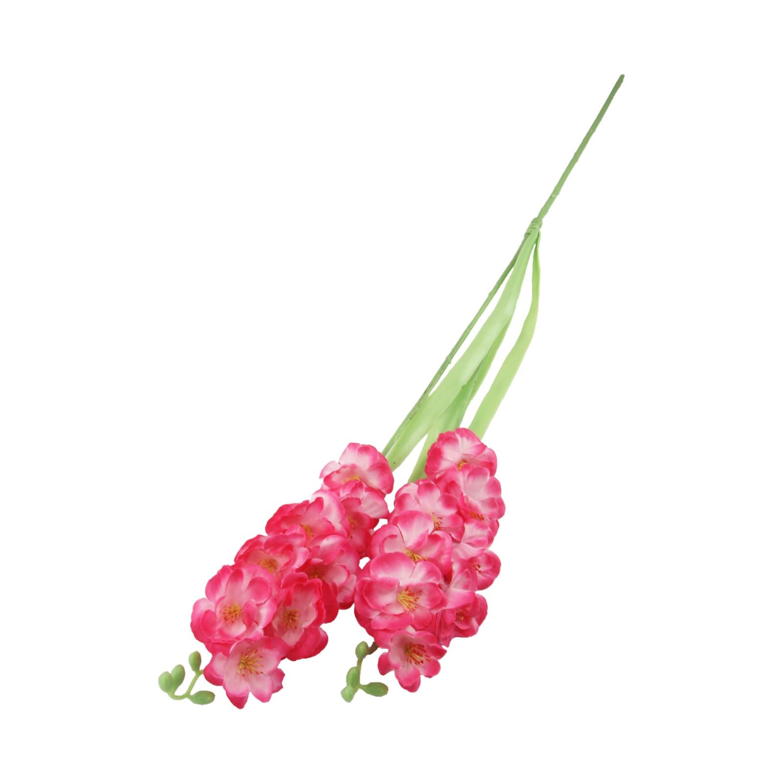 Two Headed Long Orchid Spray