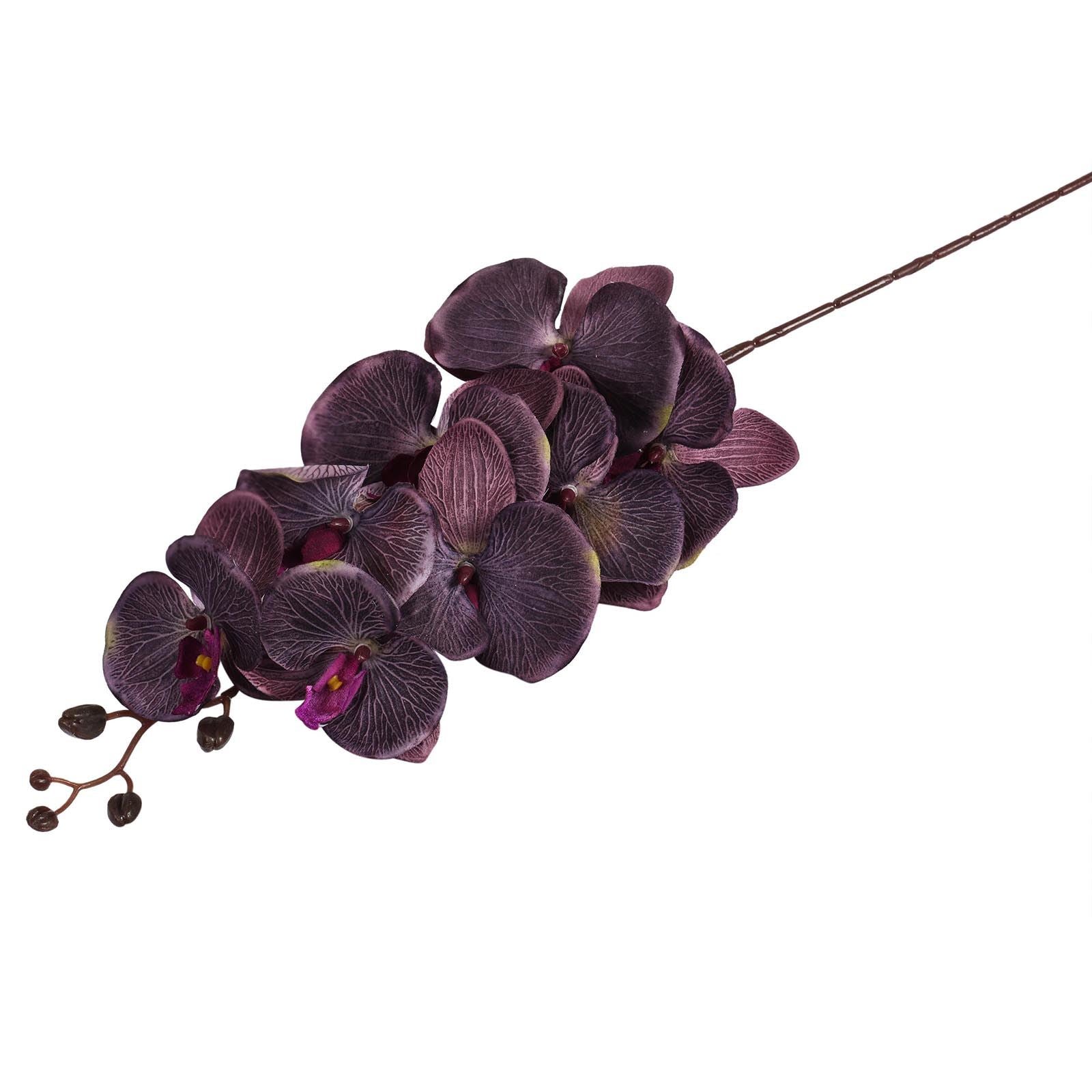 Premium Modern Large Orchid