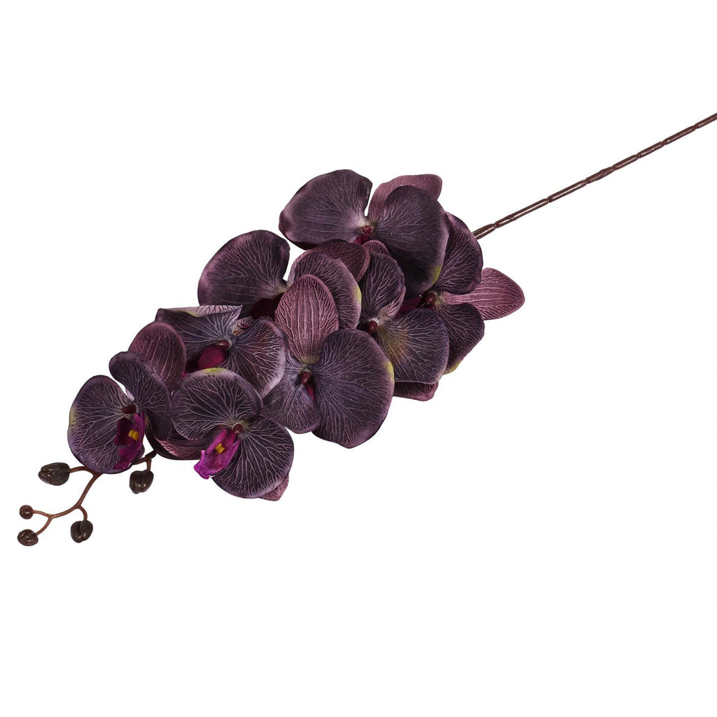 Premium Modern Large Orchid