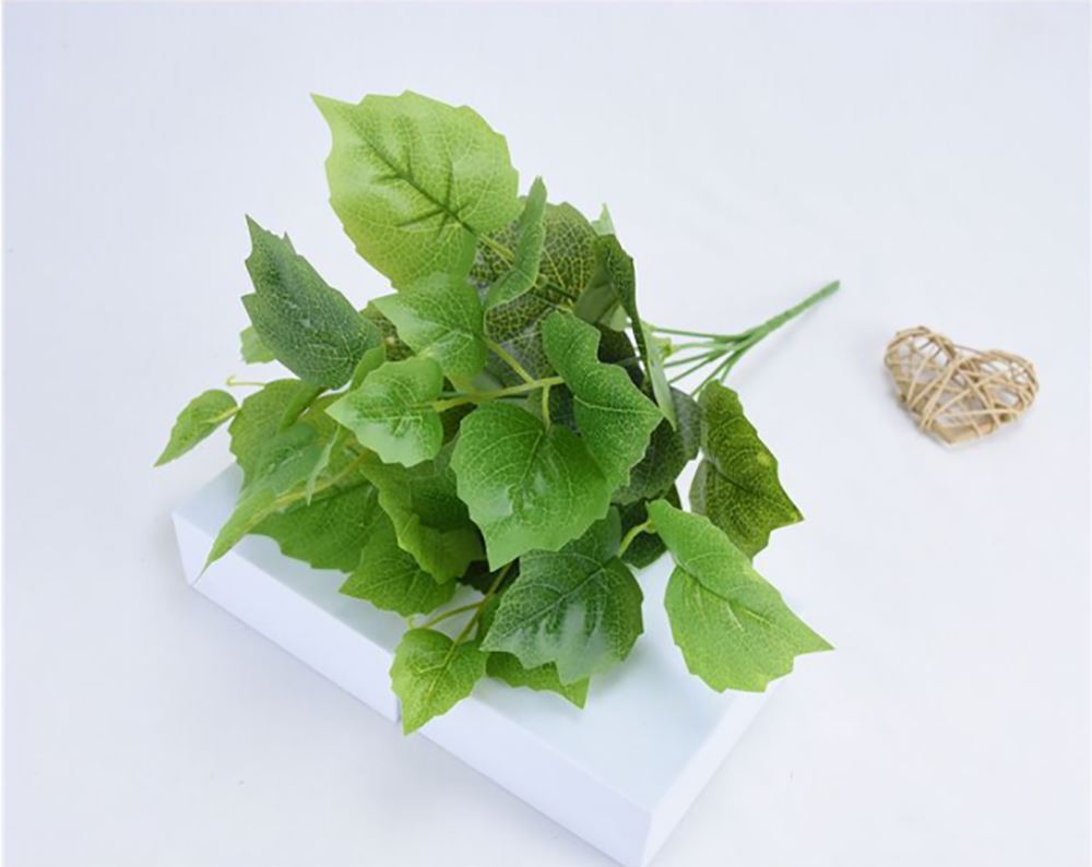 Glossy Foliage Bunches